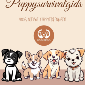 De ultieme puppysurvivalgids